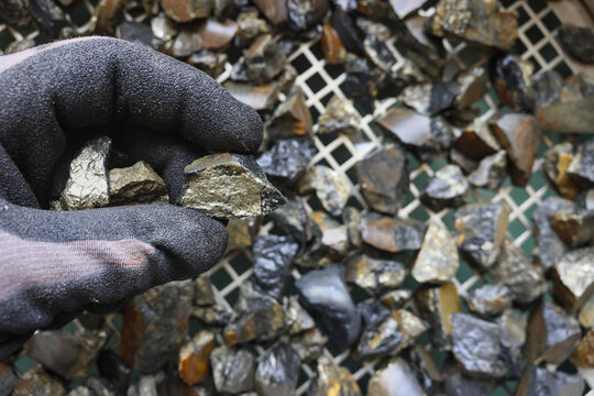 Mine, mining of tin (Sn) ore, as mineral cassiterite (SnO2). Rocks held in gloved hand. Element used in Lithium-ion batteries, coils of superconducting magnets, pigments, solder, plating and bronze