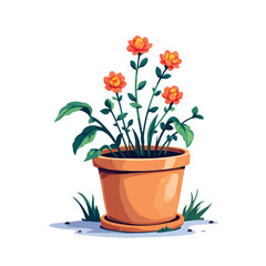 Vsai blooming orange flowers growing in terracotta pot outdoors