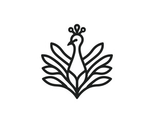 Peacock logo design icon symbol vector illustration. Peacock bird template.