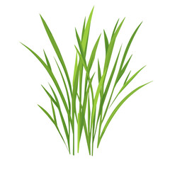 A Simple flat 2D icon wheatgrass isolated on transparent background, flat design, vector, animation design, simple flat 2D icon, clipart, Traditional Persian New Year, Nowruz 