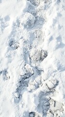 Frozen mud and slushy ground create uneven textures on a snow-covered surface in a winter landscape