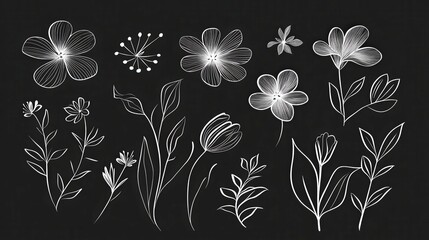 High quality illustration of Minimalist abstract floral design with simple leaves and modern flower shapes in black, subtle and stylish