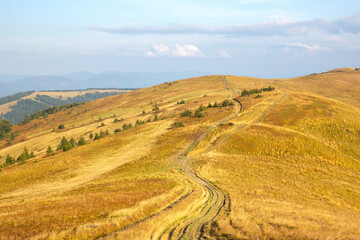 Obraz premium Landscape and nature in the highlands of the Ukrainian Carpathians