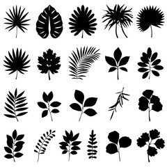 A collection of black silhouette tropical plant and tree icons, featuring various palm trees, ferns, and botanical elements in a minimalistic style on a white background.