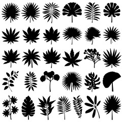 A collection of black silhouette tropical plant and tree icons, featuring various palm trees, ferns, and botanical elements in a minimalistic style on a white background.