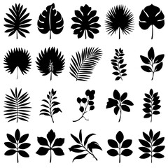 A collection of black silhouette tropical plant and tree icons, featuring various palm trees, ferns, and botanical elements in a minimalistic style on a white background.