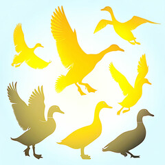 Duck Silhouette Collection - Black and White Set of ducks silhouettes in different poses.