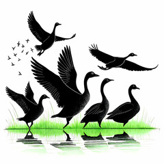 Duck Silhouette Collection - Black and White Set of ducks silhouettes in different poses.