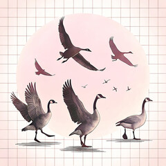 Duck Silhouette Collection - Black and White Set of ducks silhouettes in different poses.
