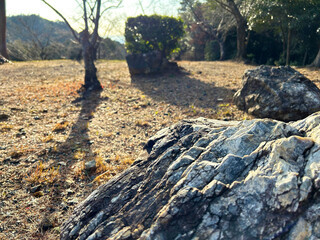 夕日を浴びる岩石