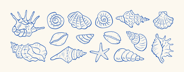 Set of hand drawn seashells drawing ink. Minimalist line art. Summer vacation design elements for trendy prints, label, menu cover. Tropical beach shells. Vector flat illustration.