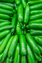 green cucumbers in bulk on market
