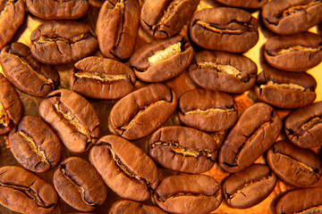 Detailed view of freshly roasted coffee beans with golden undertones, spread on a shiny tray, ideal for gourmet food photography