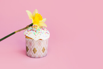 Traditional russian Easter ortodox cake with daffodil flower and colorful eggs on light pink background. Kulic, Kulich, Paska homemade bread with glaze. Spring christian holiday. Festive celebration