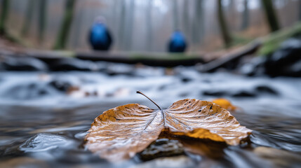 A dry autumn leaf lies on a surface with water droplets.
