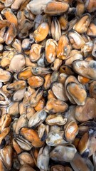 fresh mussels for sale at a fish market