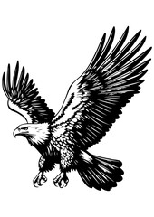 Fototapeta premium Eagle vector illustration, black and white line art, gift ideas, engrave laser, tattoo idea, logo design, vector sketch, printable, eagle predator bird design, symbol freedom 