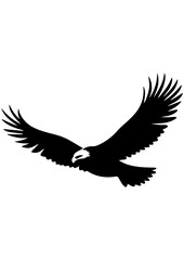 Obraz premium Eagle vector illustration, black and white line art, gift ideas, engrave laser, tattoo idea, logo design, vector sketch, printable, eagle predator bird design, symbol freedom 