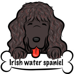 HPや挿絵で使えるポップでゆるくてかわいい手描き風犬のベクターイラストアイリッシュウォータースパニエル