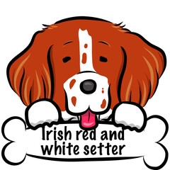 HPや挿絵で使えるポップでゆるくてかわいい手描き風犬のベクターイラストアイリッシュレッドアンドホワイトセッター