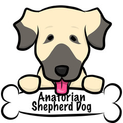 HPや挿絵で使えるポップでゆるくてかわいい手描き風犬のベクターイラストアナトリアンシェパード