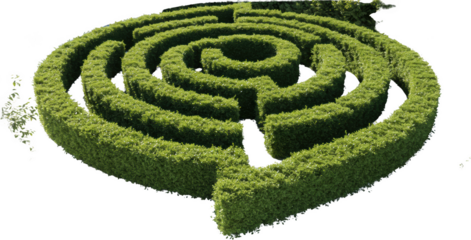 Lush Green Hedge Maze in a Garden Perfect for Landscaping Design Inspiration