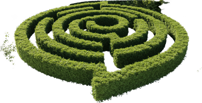 Lush Green Hedge Maze in a Garden Perfect for Landscaping Design Inspiration