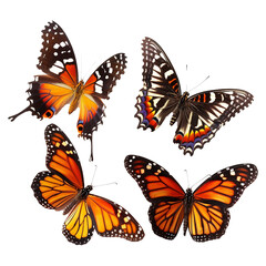 Naklejka premium Collection of Four Vibrant Butterflies with Orange Black and White Wings
