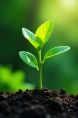 Bright young sprout, vibrant green leaves unfurling , spring, vibrant, environment