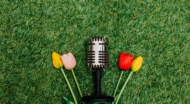 A vintage retro microphone placed on lush green grass,