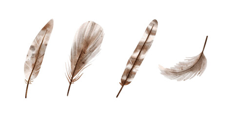 Watercolor Feather Design Illustration – Soft and Fluffy Bird Element for Easter, Spring, and Religious Renewal Artwork Collection