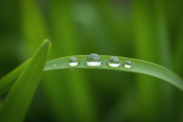 close up of water droplets on a blade of grass