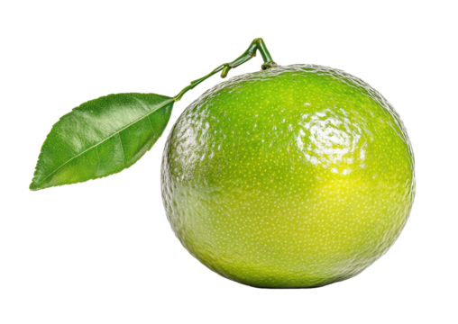 Lime isolated on white background, PNG transparent clipart.