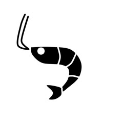 shrimp on a white background