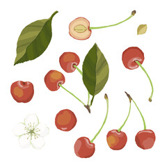 さくらんぼのイラスト素材