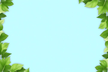 green leaves on a white background