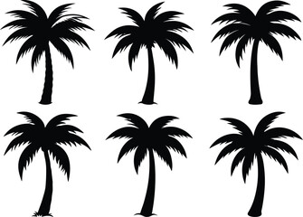 Collection of silhouette palm vector isolated on white background