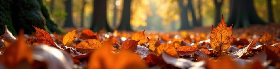 Crisp autumn leaves blanket forest floor, vibrant hues , texture, earth, leaves