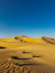 Abu Dhabi desert dunes, UAE