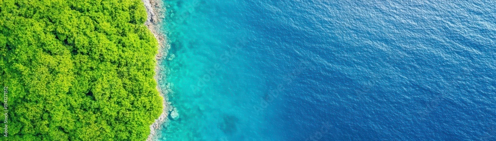 Poster aerial view of a serene beach merging with a lush green forest under a clear blue sky