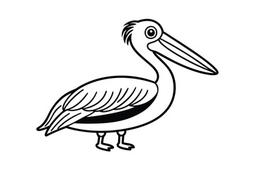 Fototapeta premium pelican on white background