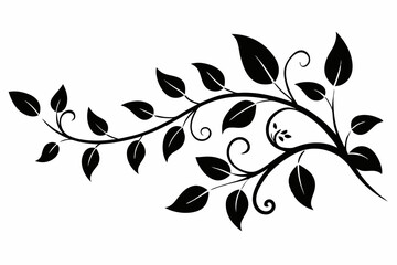 elegant leafy vine line art silhouette vector illustration