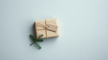 A small gift wrapped in light brown paper with a blank tag and twine, adorned with a sprig of evergreen, rests on a pale blue surface.