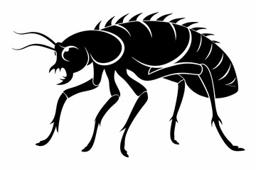 flea animal line art silhouette vector illustration