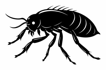 flea animal line art silhouette vector illustration