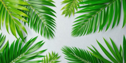 Obraz premium Lush Green Palm Fronds Arranged Symmetrically on a Light Gray Background, Creating a Vibrant Tropical Design