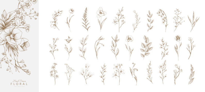 Set of detailed various flowers and foliage, intricate details and delicate forms. Hand drawn vector illustration with elegant botanical elements for invitation, save the date card