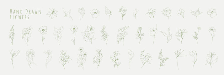 Botanic set of detailed various flowers and brunch. Luxury vintage floral collection for wedding invitation, wallpaper art or save the date card. Botanical vector illustration