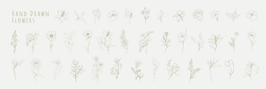 Botanic set of detailed various flowers and brunch. Luxury vintage floral collection for wedding invitation, wallpaper art or save the date card. Botanical vector illustration