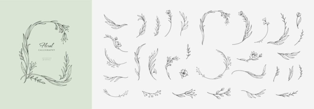 Set of elegant calligraphic botanical design elements, floral frame and graceful branches. Wedding wildflowers for invitation save the date card. Botanical feminine rustic vector illustration